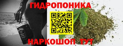 крисы Абинск